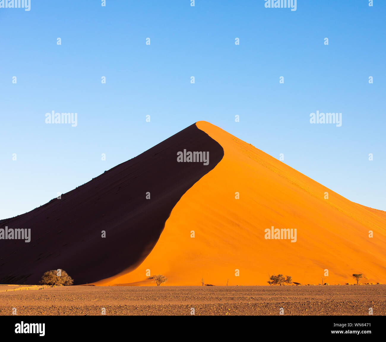 Couleurs profondes de dunes de sable au coucher du soleil. Sossusvlei, Namibie. Banque D'Images