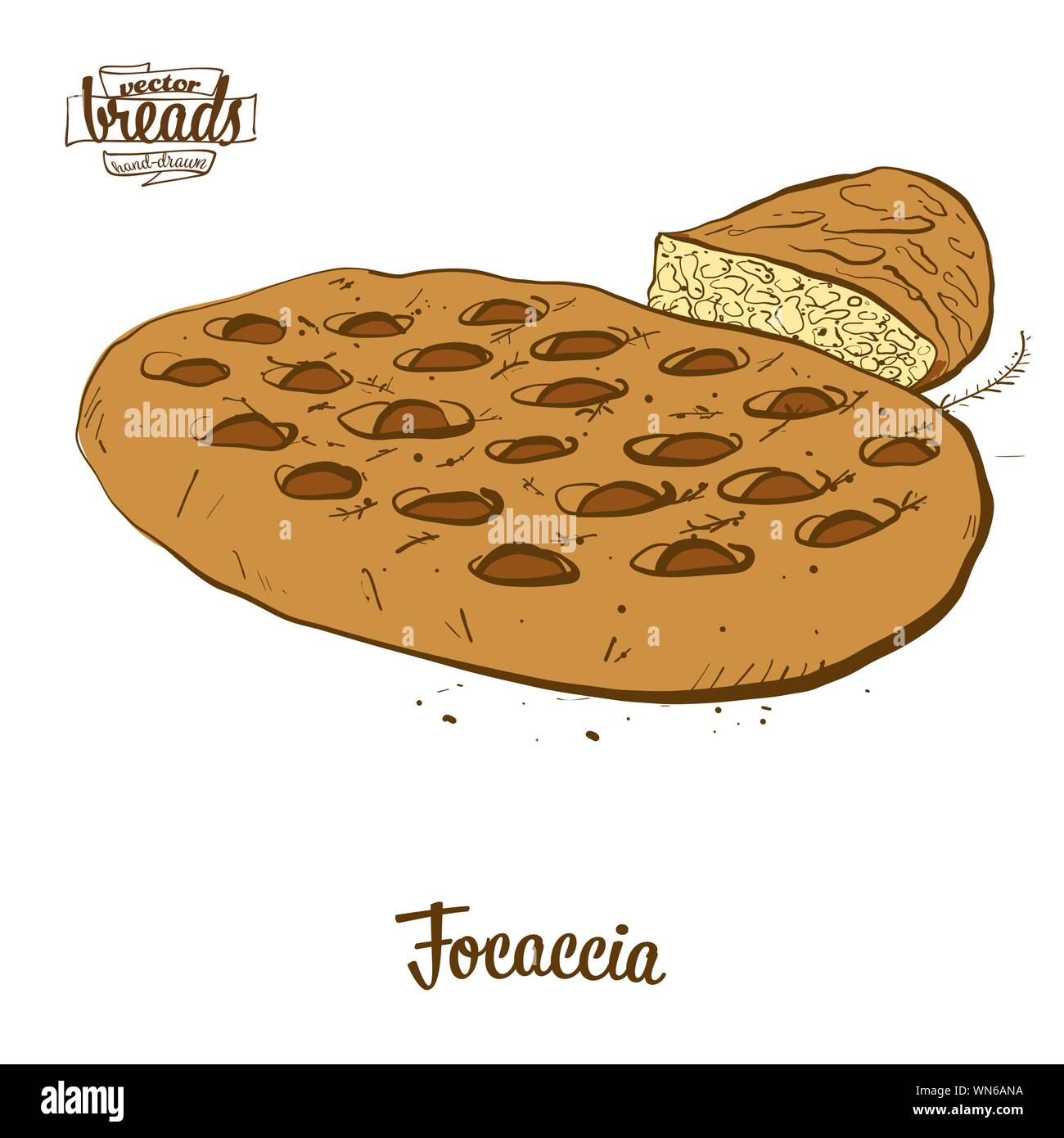 Dessin couleur de pain focaccia. Vector illustration of yeast bread food, généralement connu en Italie. Pain de couleur des croquis. Illustration de Vecteur