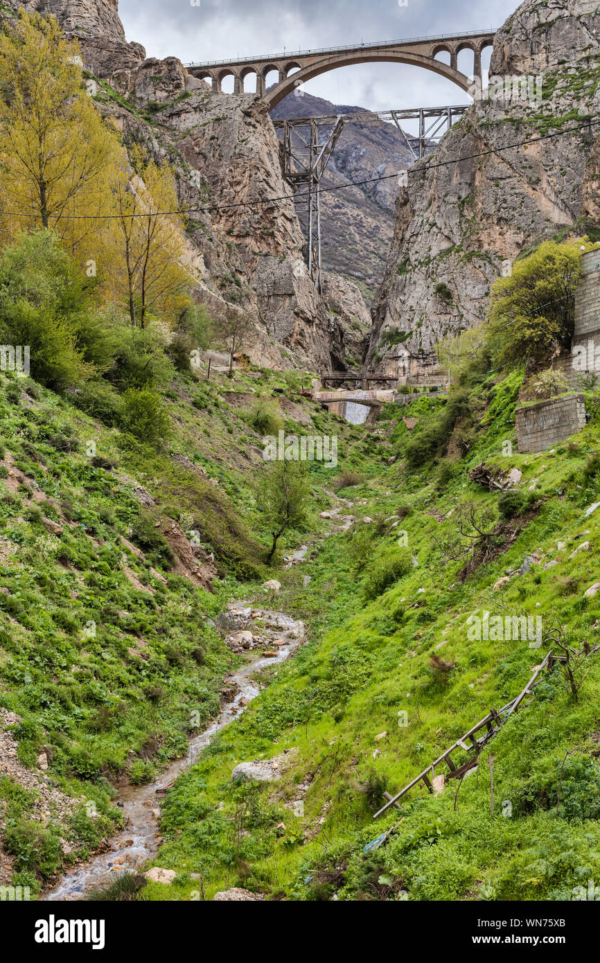 Veresk Pont, Chemin de fer, Savadkuh County, province de Mazandaran, Iran Banque D'Images