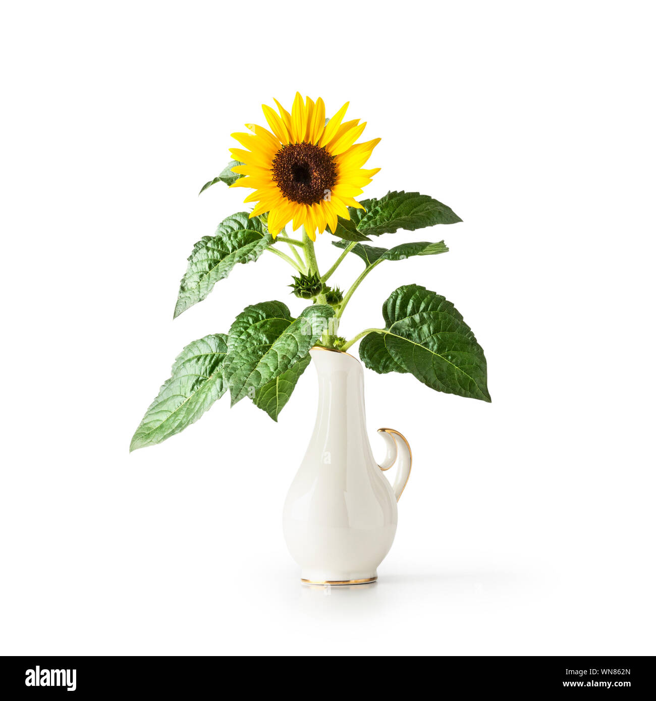 Fleurs de tournesol en vase en porcelaine vintage. Helianthus vivace. Seul objet isolé sur fond blanc chemin de détourage inclus. Gard d'été Banque D'Images
