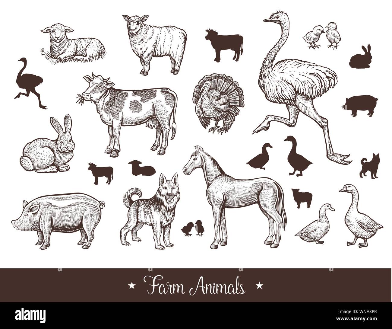 Les animaux de ferme handdrawn vintage set avec vache, mouton, porc, cheval, chien de garde, de l'autruche, le canard, le lapin, l'OIE, la Turquie, l'agneau porc fine ligne sketch et silhouettes vector illustration Illustration de Vecteur