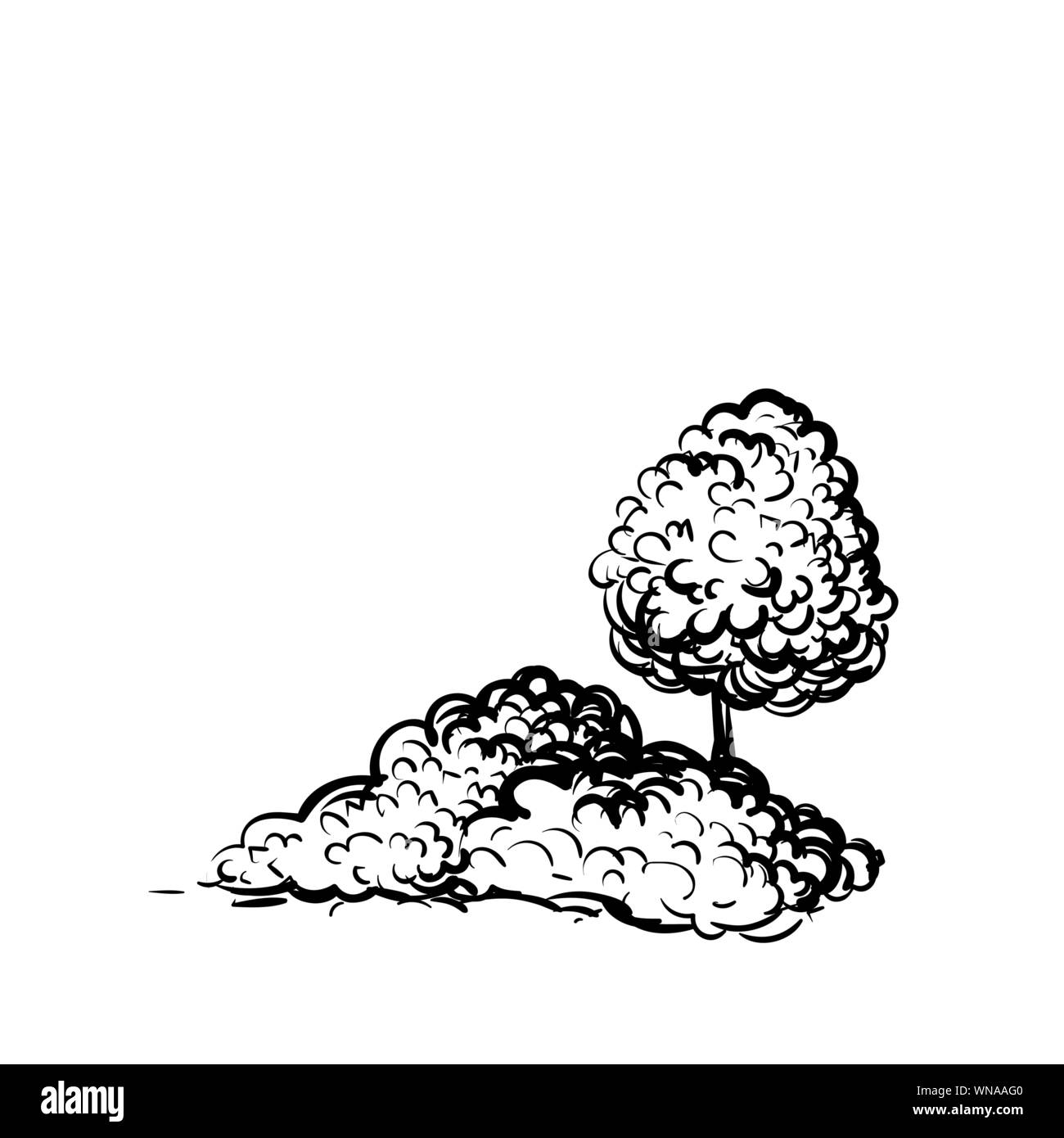 Arbre et arbustes sur fond blanc style croquis dessinés à la main, l'illustration. Noir et blanc plantes monochrome image contour vectoriel Illustration de Vecteur