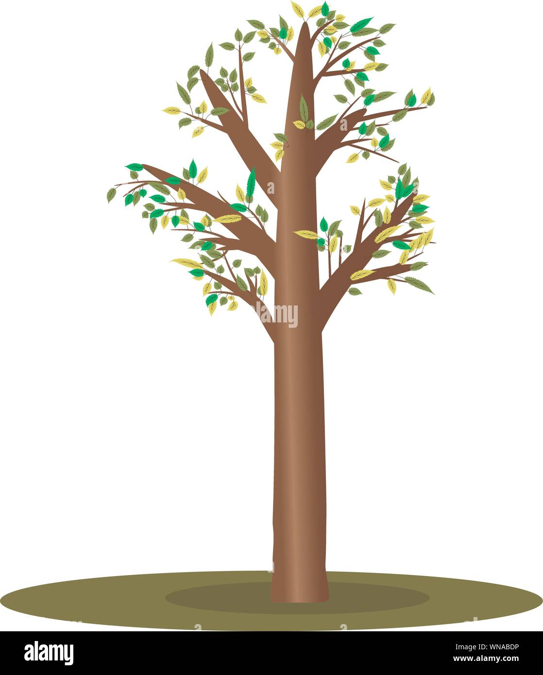 Arbre généalogique cartoon isolées avec de petites feuilles, vector illustration pour la caricature d'accessoires et de décoration pour anomations Illustration de Vecteur