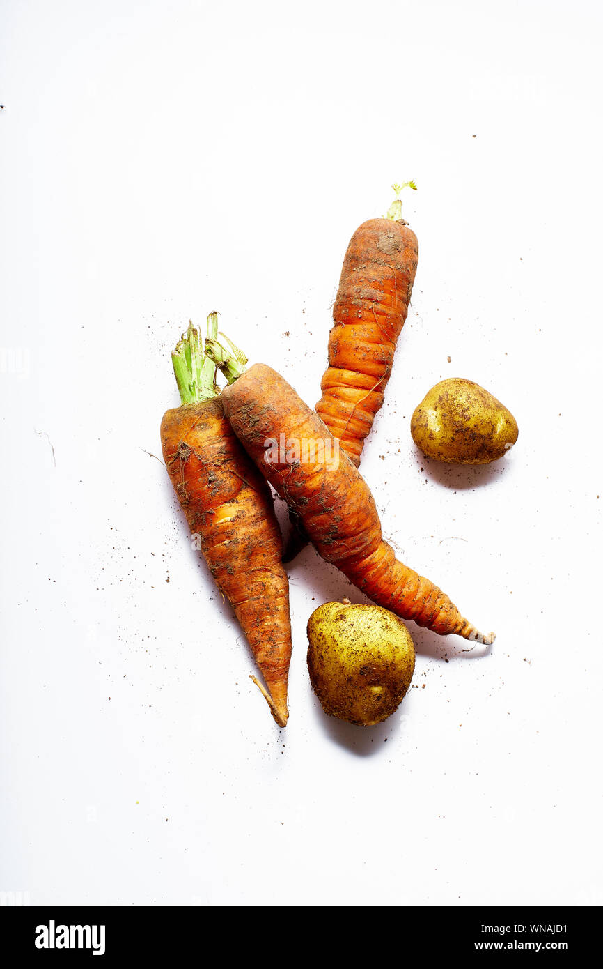 Les carottes et les pommes de terre biologiques de différentes formes Banque D'Images