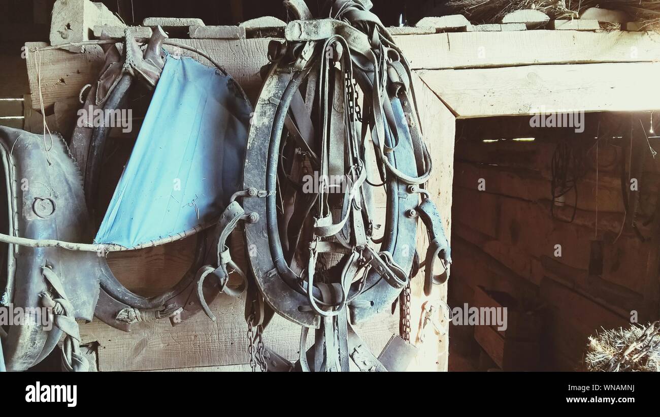 Close-up de colliers de cheval accroché sur le mur en bois Photo Stock -  Alamy