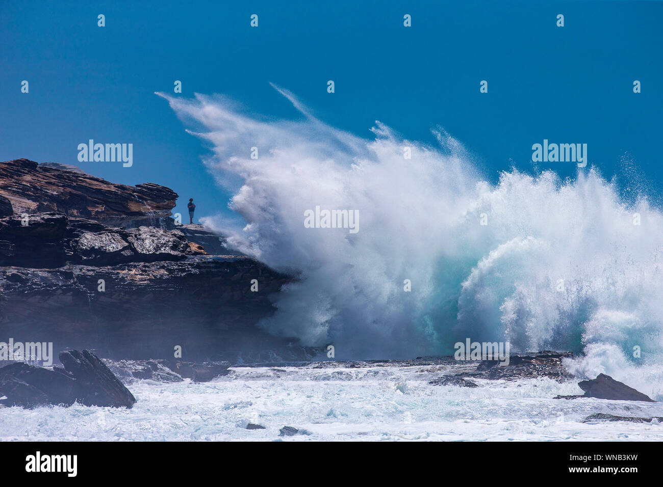 La houle de tempête à Maroubra Sydney Australie Banque D'Images