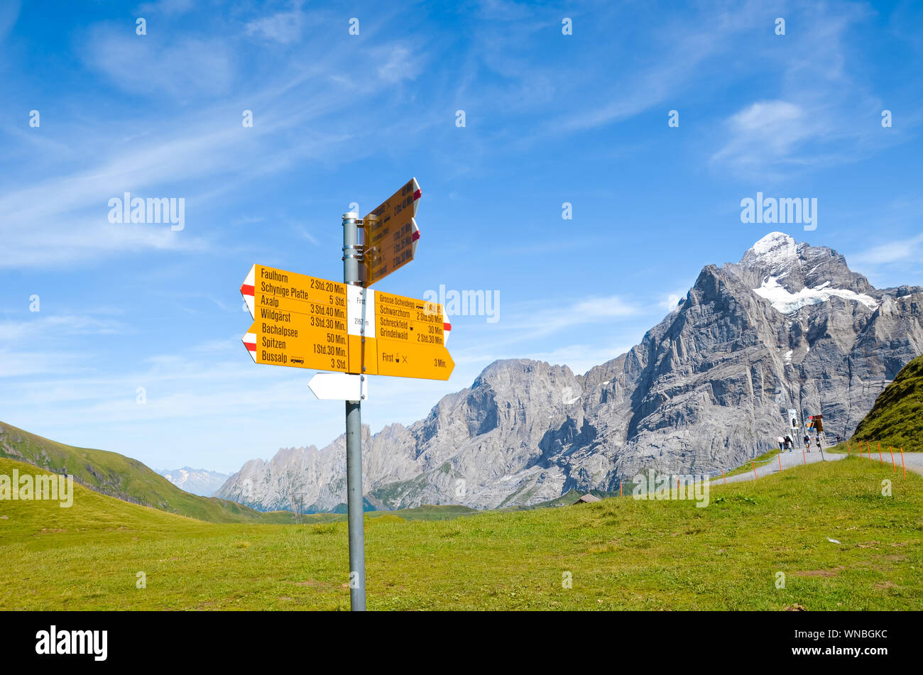 Tourisme en signe jaune, Première suisse donnant distances et directions pour les randonneurs dans les Alpes suisses. Célèbres sentiers de randonnée par Grindelwald menant à Bachalp. Paysage alpin d'été en arrière-plan. Banque D'Images