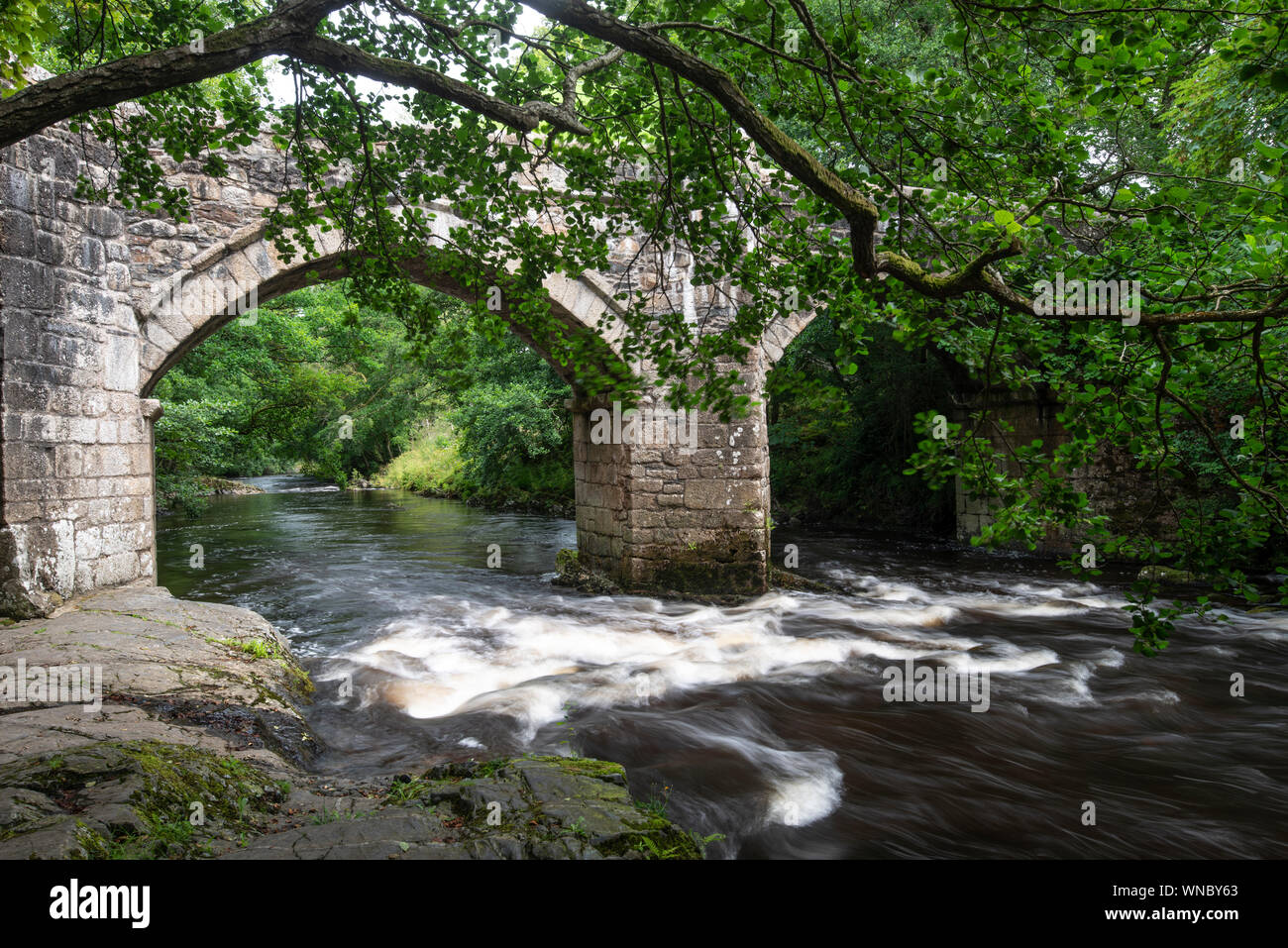 Pont sur la rivière Dart, Newbridge, Dartmoor, Devon Banque D'Images