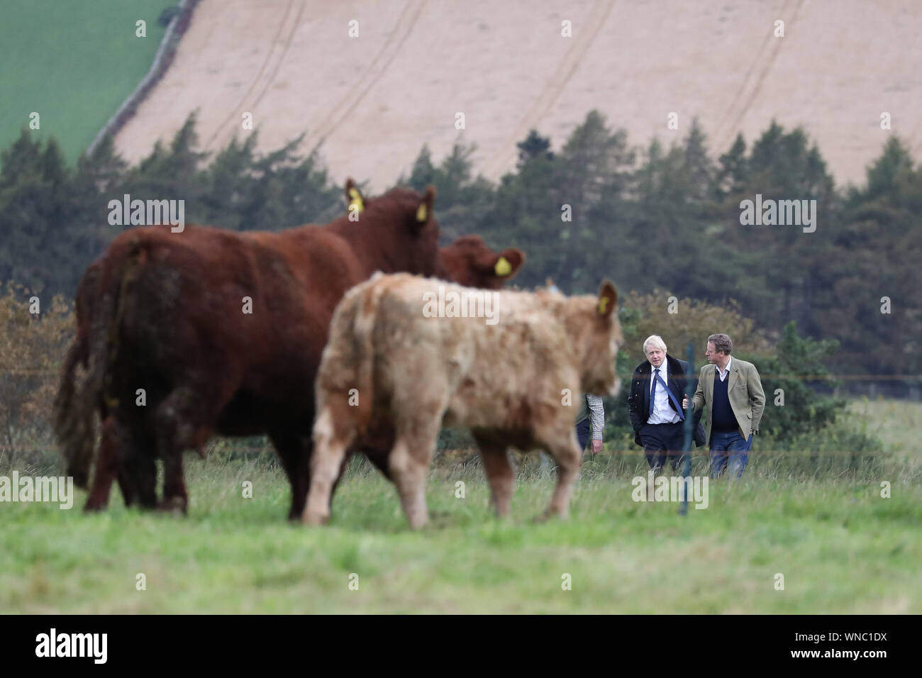 Premier ministre Boris Johnson (à gauche) avec le secrétaire d'État pour l'Écosse Alister Jack lors d'une visite à Darnford Farm à Banchory près de Aberdeen à l'occasion de la publication de l'examen de la LPB Seigneur et l'annonce de fonds supplémentaires pour les agriculteurs écossais. Banque D'Images