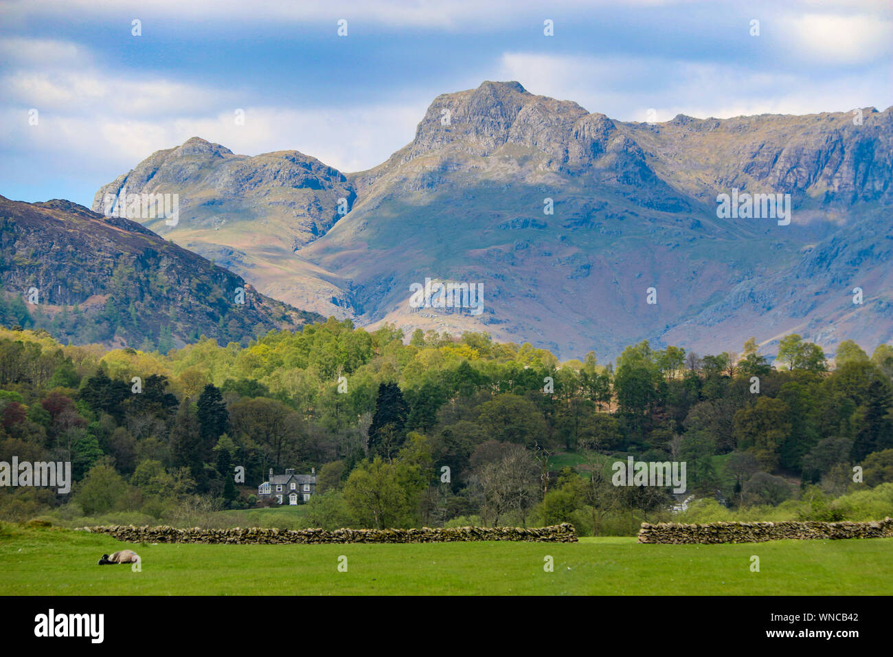 Superbe image de Langdale Pikes avec un charmant cottage anglais au premier plan, Elter Eau, à proximité de Ambleside, Cumbria, Royaume-Uni Banque D'Images