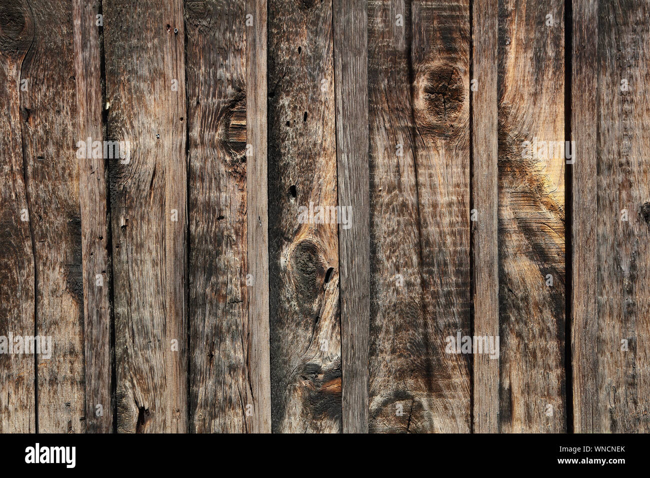 Le vieux bois texture avec des modèles naturels Banque D'Images