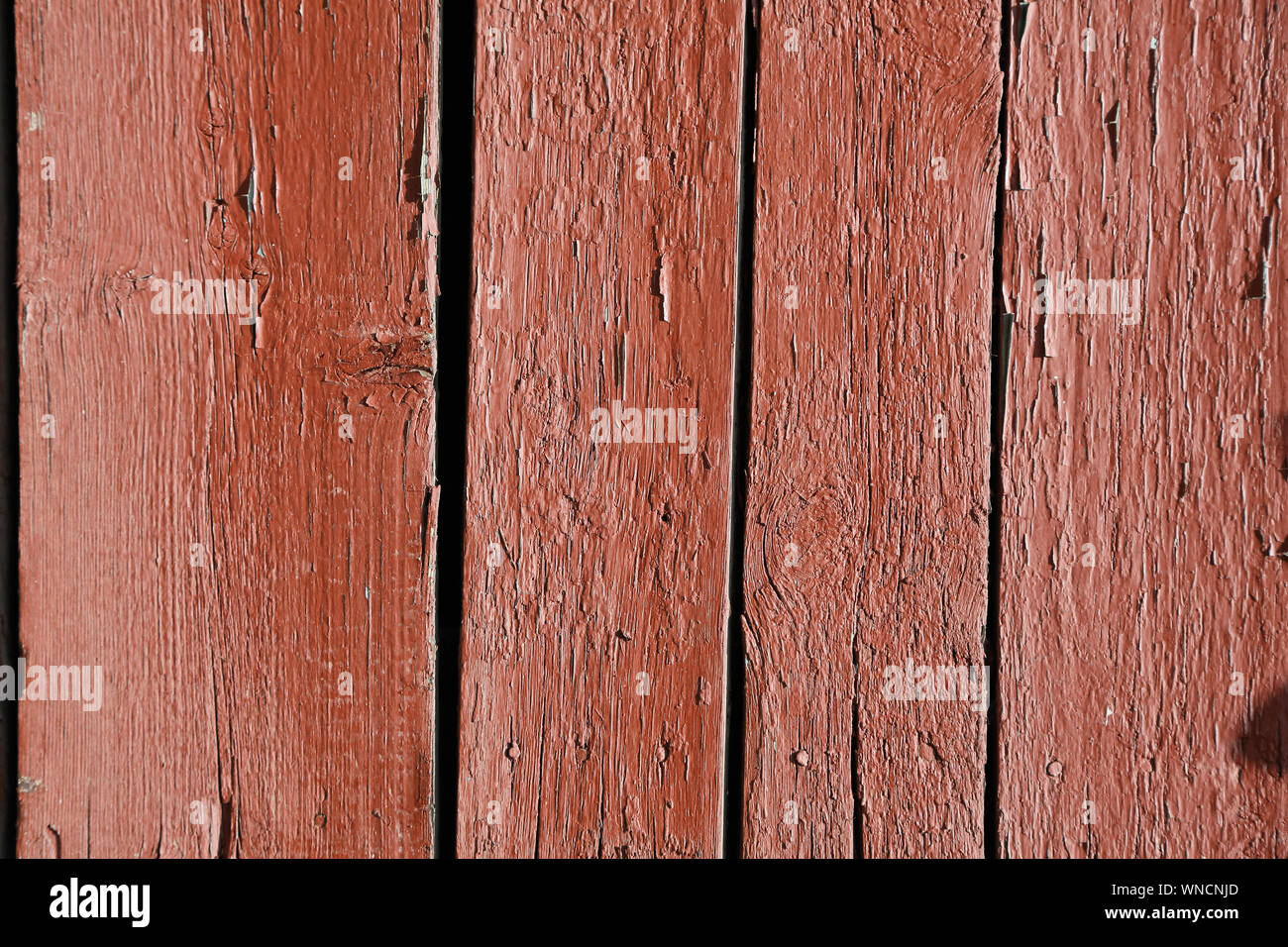 Doublure en bois patiné de texture avec l'épluchage de la peinture rouge et têtes de clous rouillés. Banque D'Images
