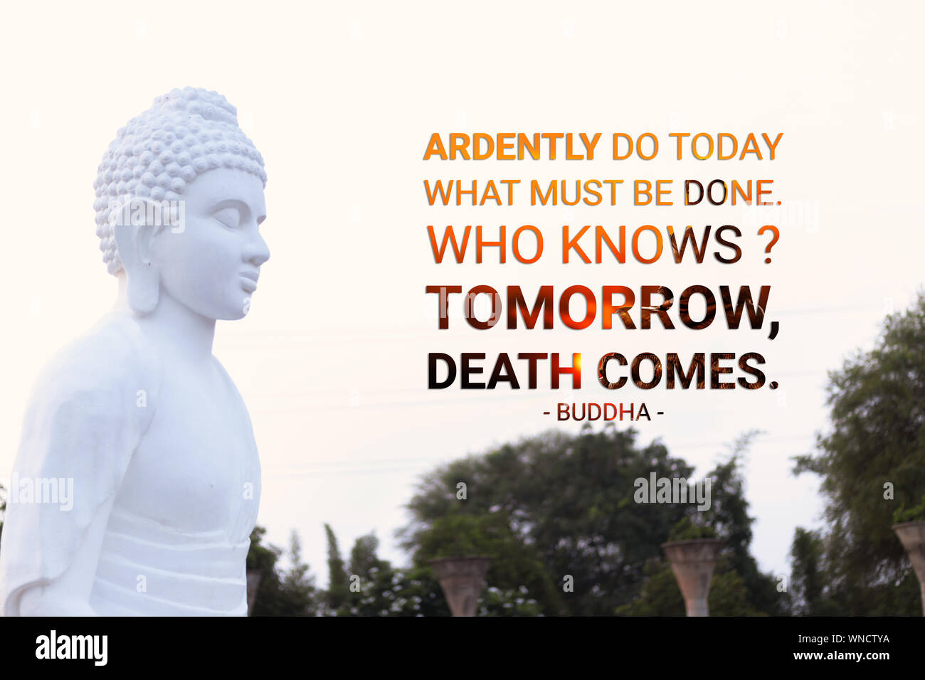 Aujourd'hui ardemment ce qui doit être fait qui sait demain la mort arrive - Bouddha Banque D'Images