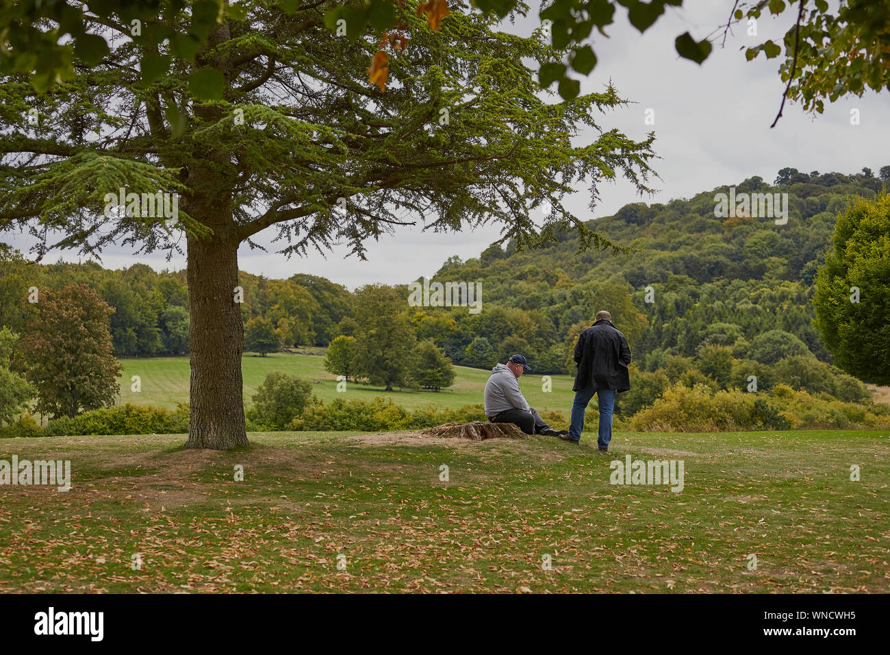 Deux hommes ensemble sous un arbre l'un assis et un debout dans la campagne anglaise Banque D'Images