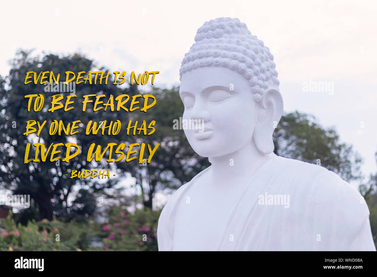 Buddhist Quotes Banque D Image Et Photos Alamy