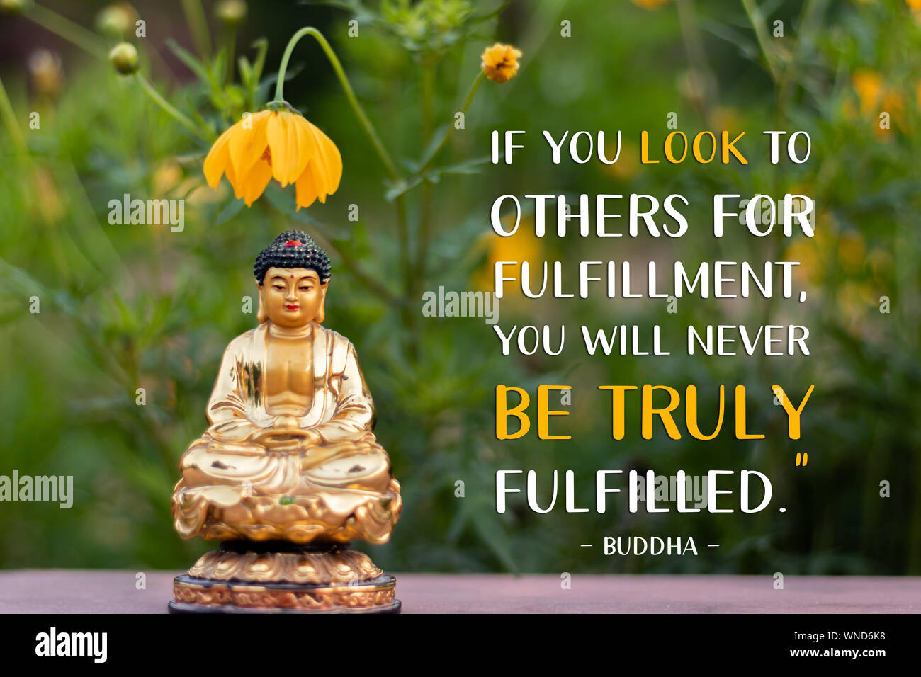 Si vous regardez à d'autres pour la réalisation, vous ne pourrez jamais être vraiment remplies - Bouddha Banque D'Images