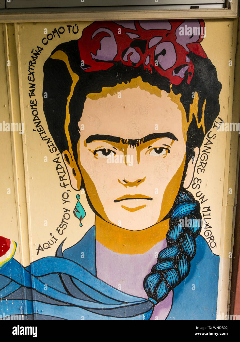 Valdivia, Chili - 12 janvier 2019 : Graffiti en hommage à Frida Kahlo l'Universidad Austral de Chile à Santiago city. Le texte espagnol dit : "Ici je Banque D'Images