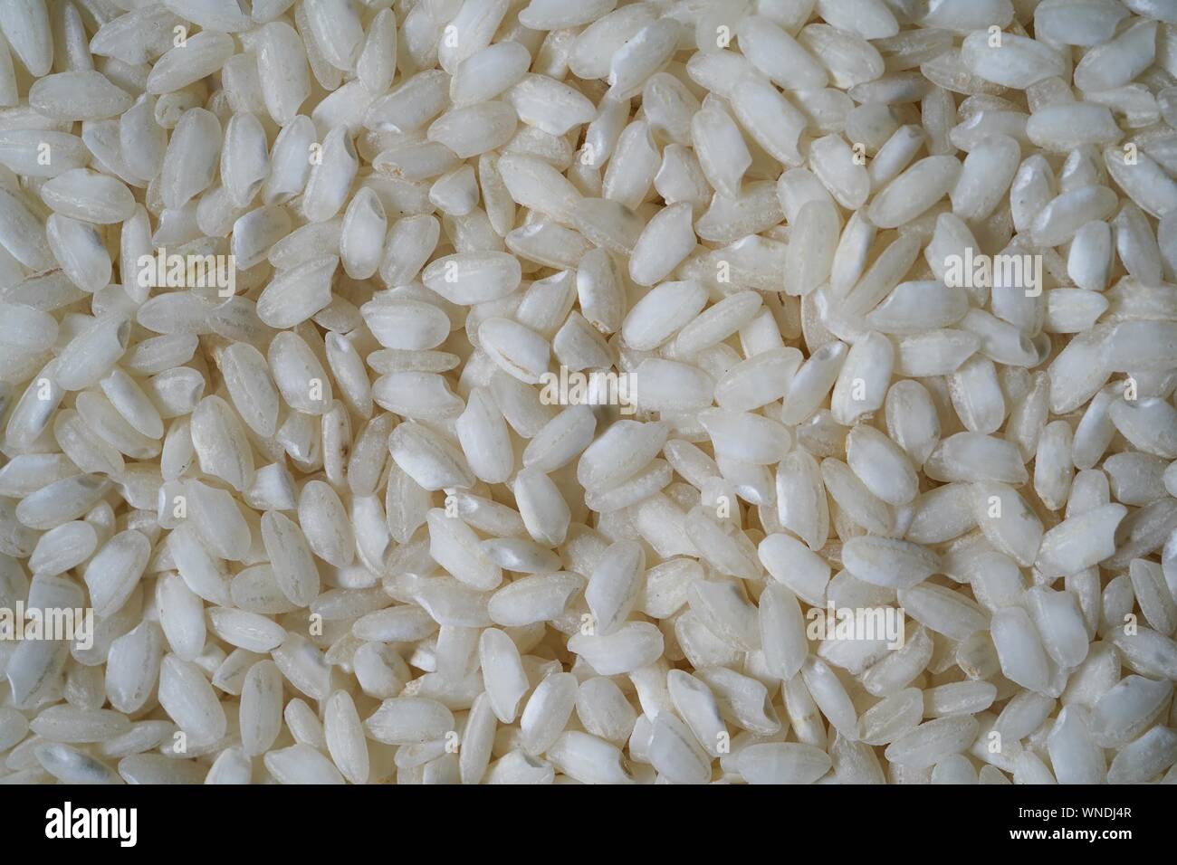 Riz Arborio de matières premières dans un contexte de vie encore bol Banque D'Images