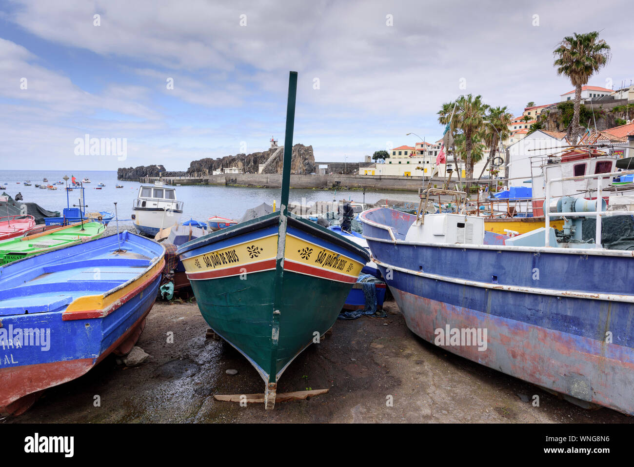 Les bateaux de pêche colorés traditionnels dans le port de Camara de Lobos, Madère Banque D'Images