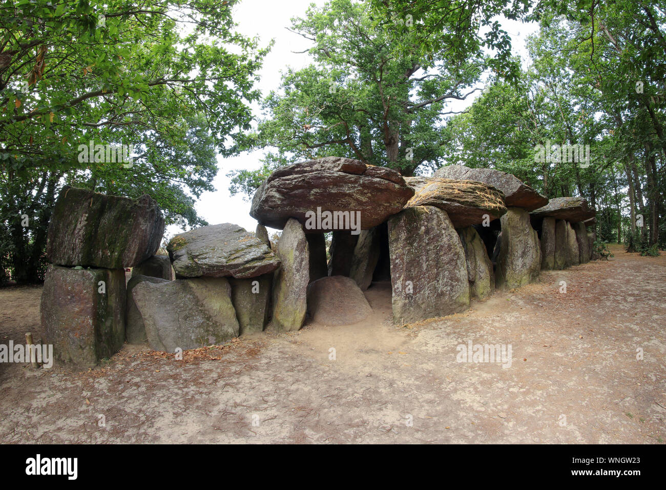 Dolmen de La Roche-aux-Fées ou les fées' rock - l'un des plus célèbres et des plus grands dolmens néolithiques en Bretagne Banque D'Images
