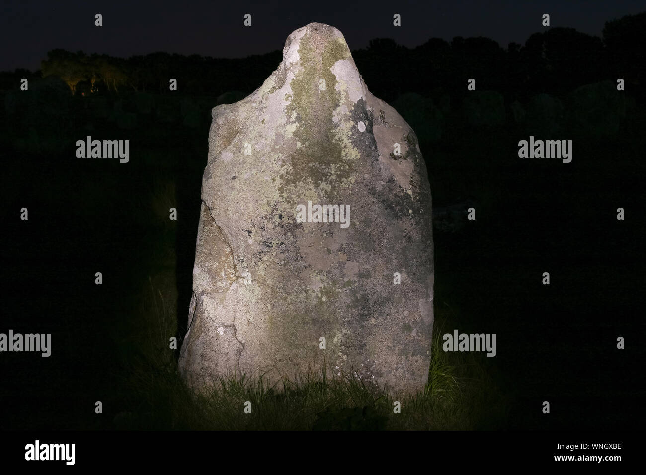 Menhir de nuit - Alignements du Menec - le plus grand site mégalithique du monde, Carnac, Bretagne, France Banque D'Images