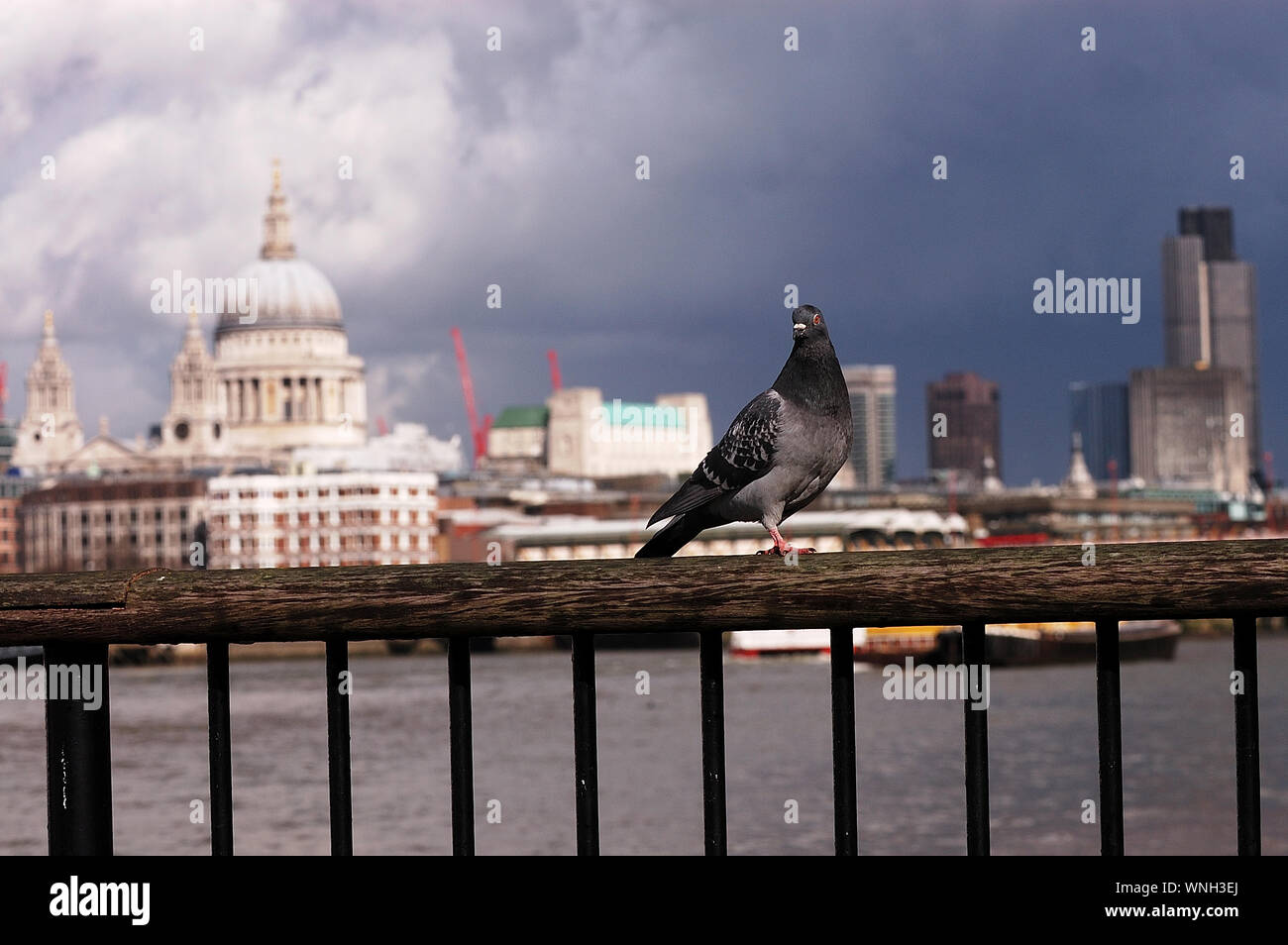 Londres, londres, royaume-uni, géographie, voyage, Photo Kazimierz Jurewicz, Angleterre, Royaume-Uni, Europe Banque D'Images