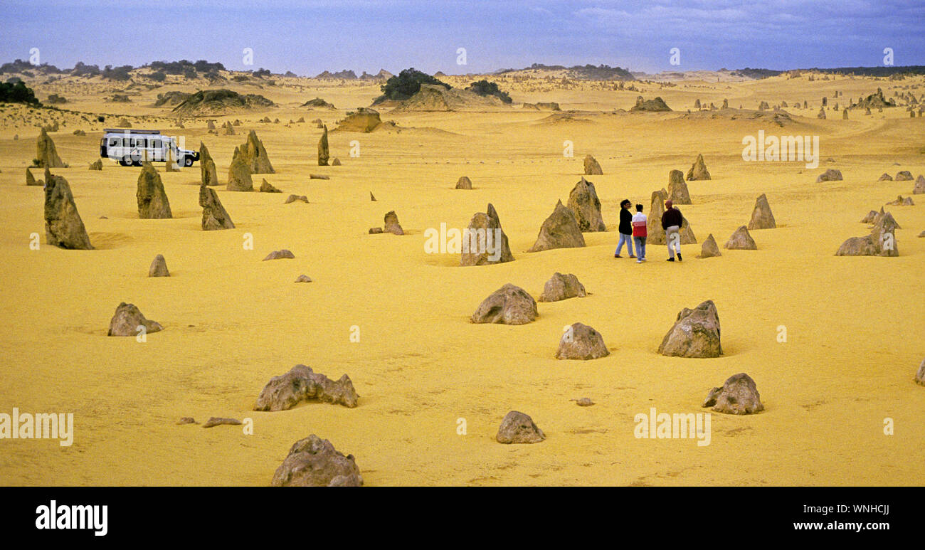 Un groupe de visiteurs errer le wasteeland de sable Les Pinnacles National Park dans l'outback de l'Australie occidentale. Banque D'Images