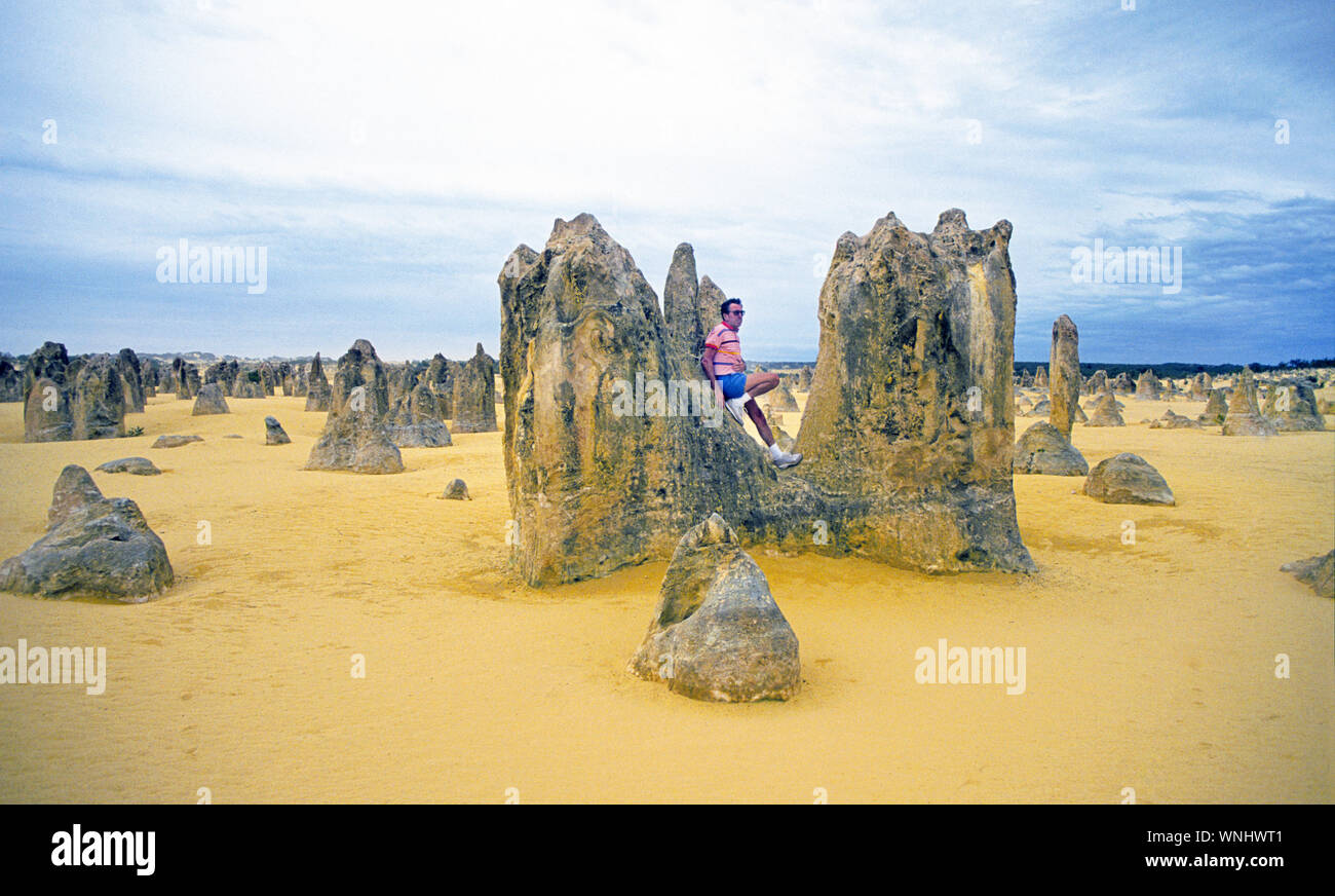 Le Désert des Pinnacles est contenu dans le Parc National de Nambung, près de la ville de Cervantès, dans l'ouest de l'Australie. Banque D'Images