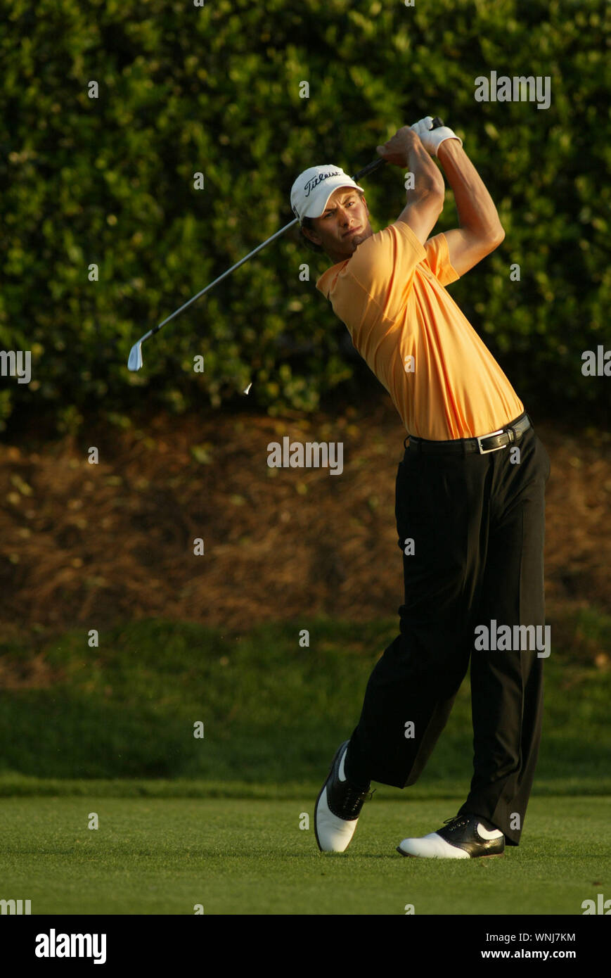 Adam Scott montres un tir pendant la finale du Championnat des joueurs dimanche 28 mars 2004, à l'Tournament Players Club à Sawgrass. Banque D'Images
