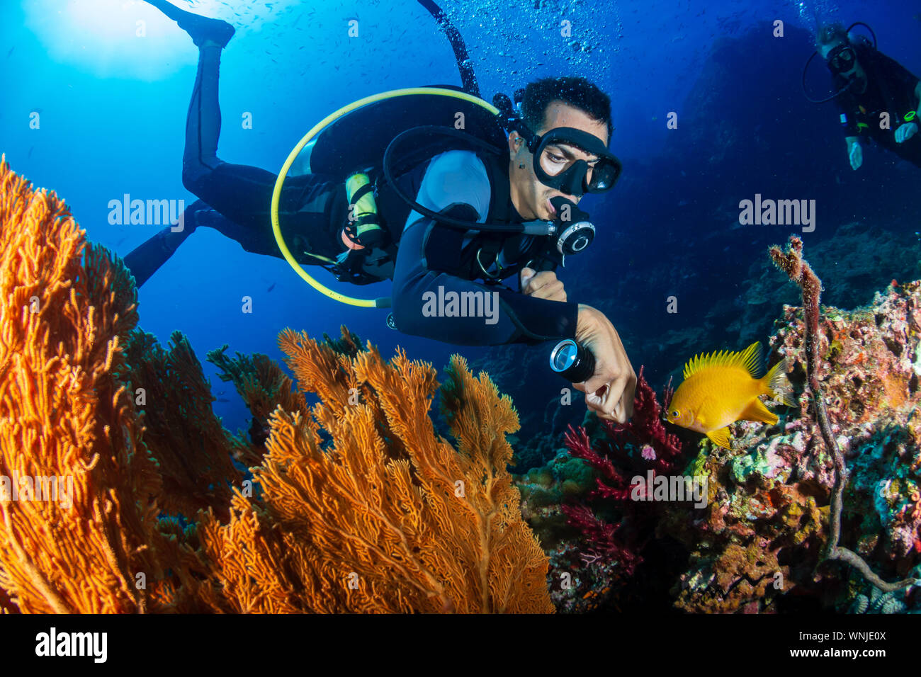 Les amateurs de plongée sous-marine sur un récif de coraux tropicaux colorés Banque D'Images