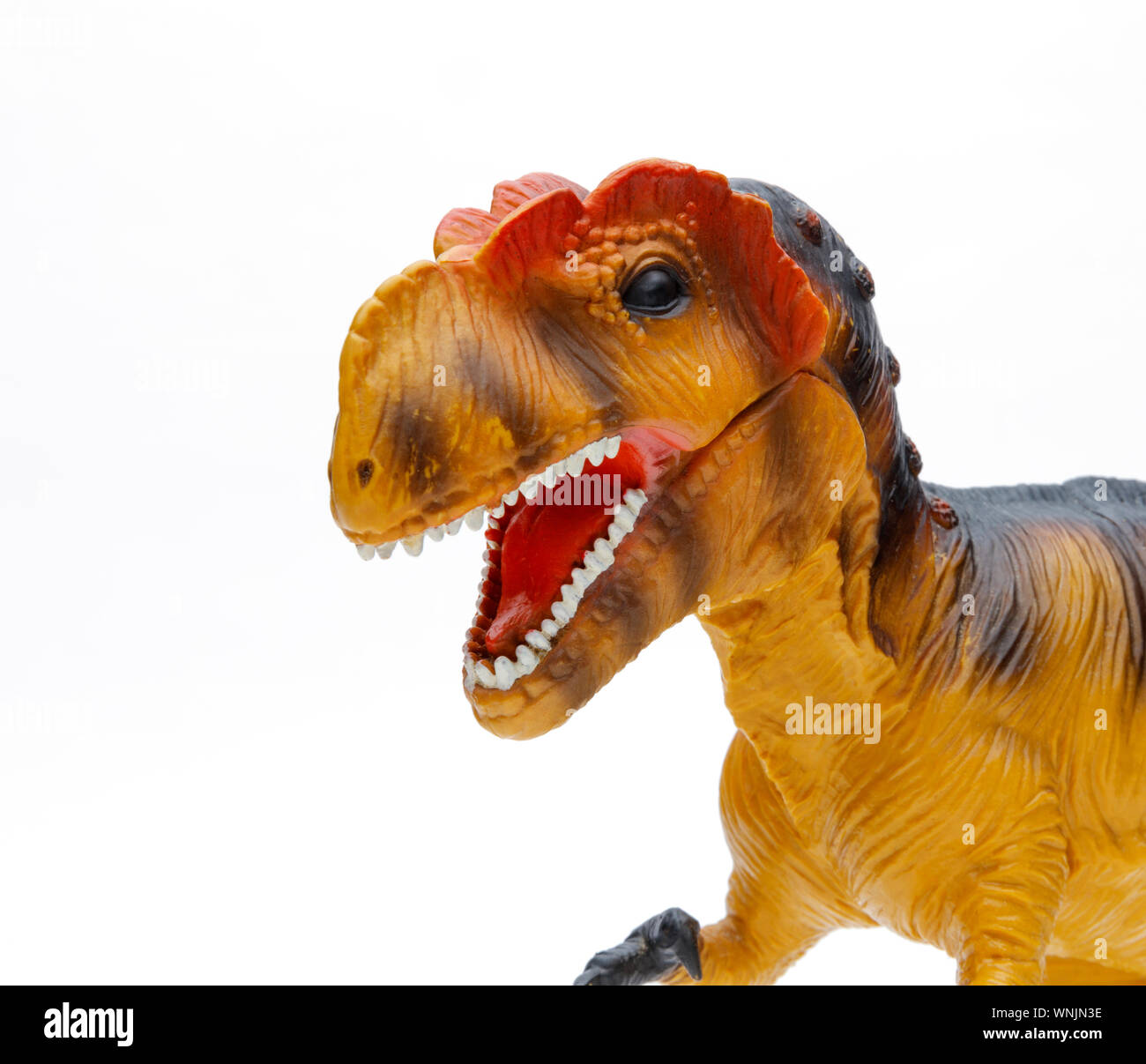 Vue rapprochée d'un jouet Tyrannosaurus Rex et shot isolé sur fond blanc Banque D'Images