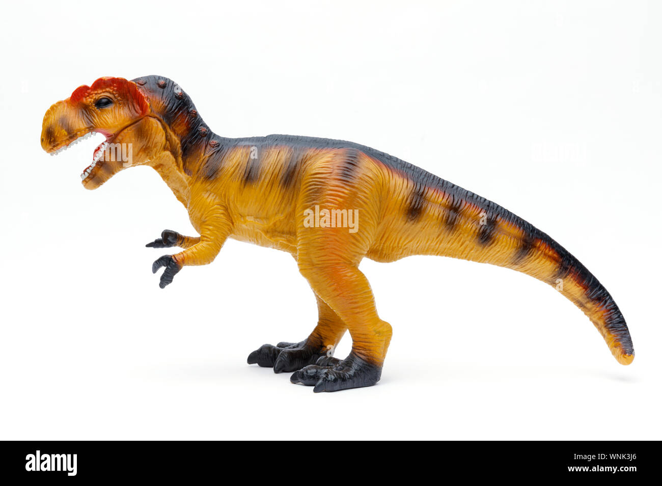 Tourné sur le côté d'un jouet Tyrannosaurus Rex et shot isolé sur fond blanc Banque D'Images