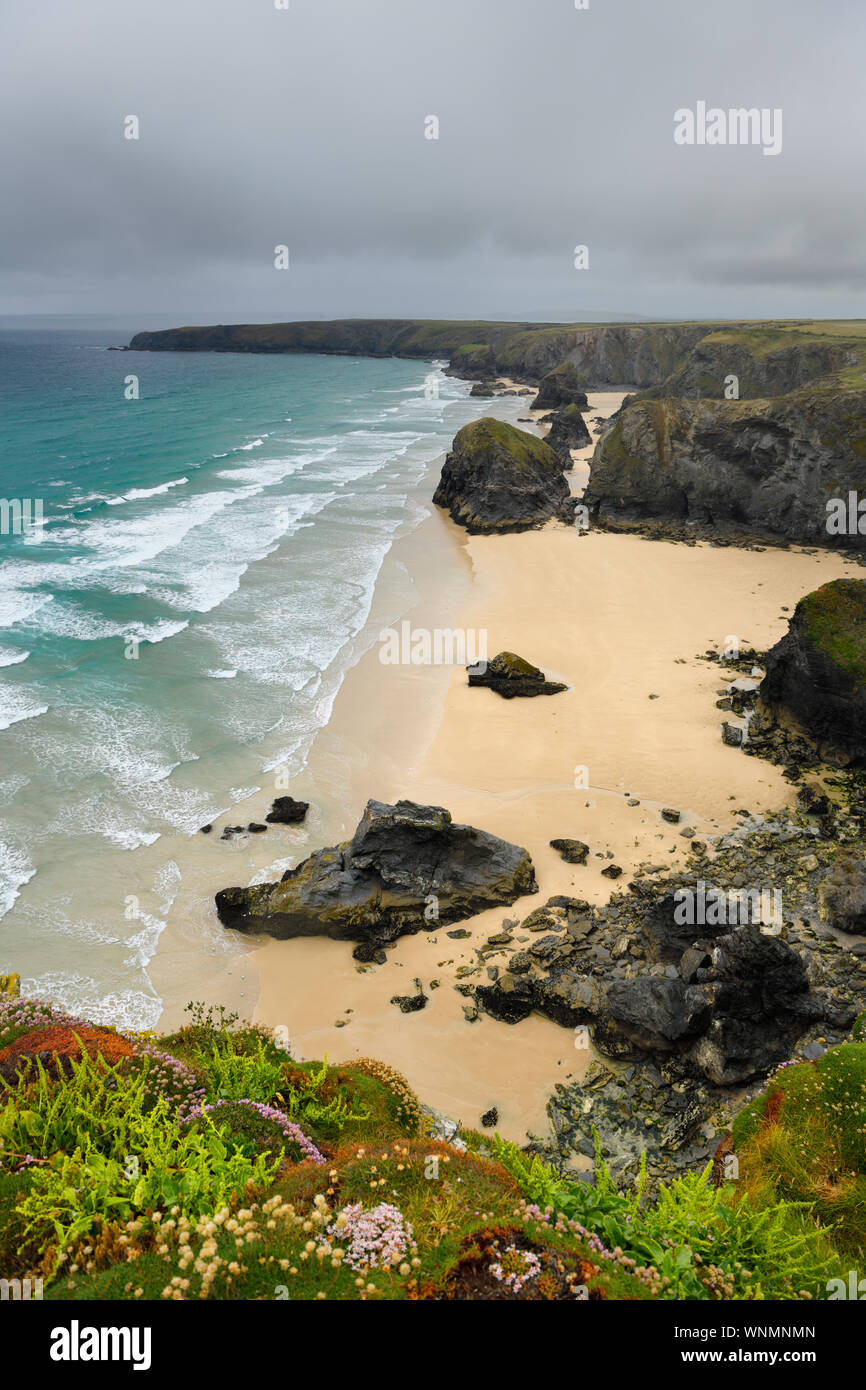 Tempête de pluie à Bedruthan Steps sea stacks à plage de sable et de fleurs sauvages sur la falaise sur la mer Celtique côte de Cornouailles en Angleterre Banque D'Images