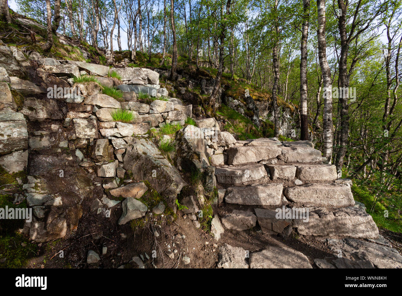 Le célèbre trek jusqu'à Pulpit Rock en Norvège Banque D'Images