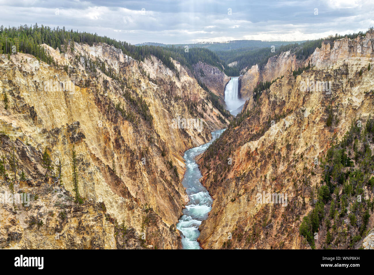 Lower Falls et Grand Canyon de la Yellowstone de Artist Point. Le canyon est de 20 miles de long, plus de 1 000 pieds de profondeur, et jusqu'à 4 000 pieds de largeur. Banque D'Images