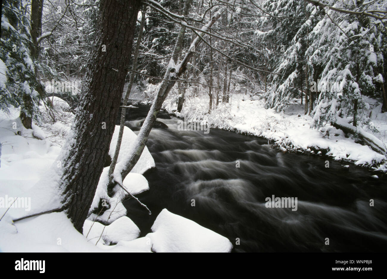 Ruisseau White Mountain en hiver, New Hampshire Banque D'Images