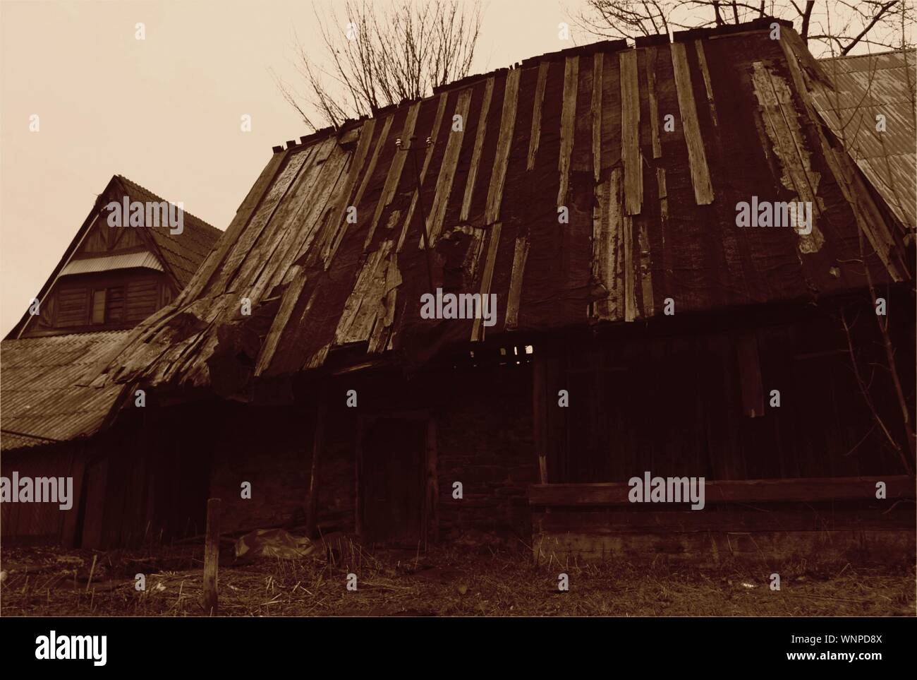 La Pologne, ZAKOPANE : cabane en bois historique dans les montagnes Tatry, Chocholow Banque D'Images