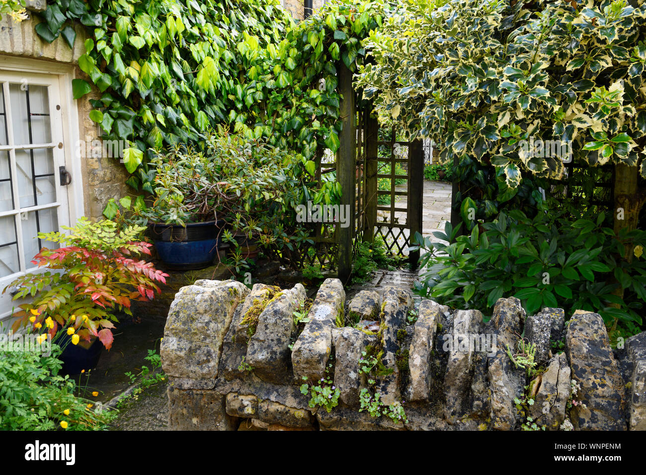 Jardin résidentiel et patio avec plantes humides après une averse à bouton-sur-le-eau dans les Cotswolds en Angleterre Banque D'Images