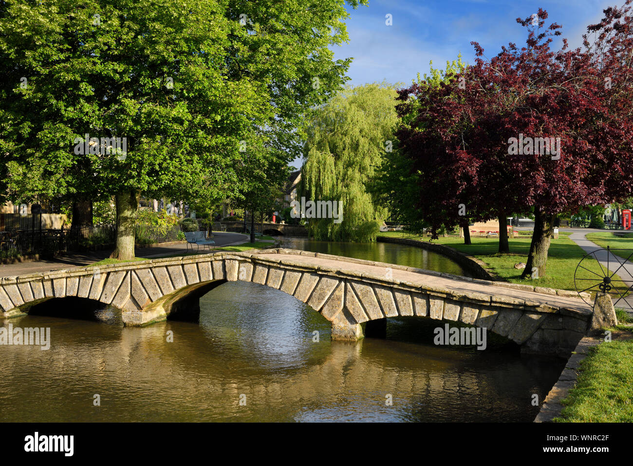 Pont sur la rivière Windrush dans soleil du matin avec des arbres en Bourton-sur-le-village de l'eau dans les Cotswolds en Angleterre Banque D'Images