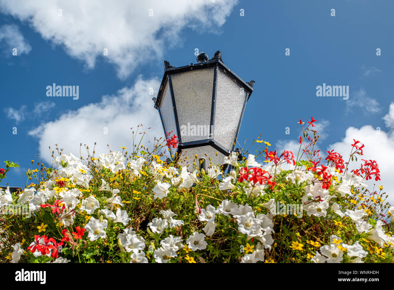 Lanterne de rue avec du jaune, rouge et blanc fleurs autour d'elle contre un ciel avec des nuages blancs bllue Banque D'Images