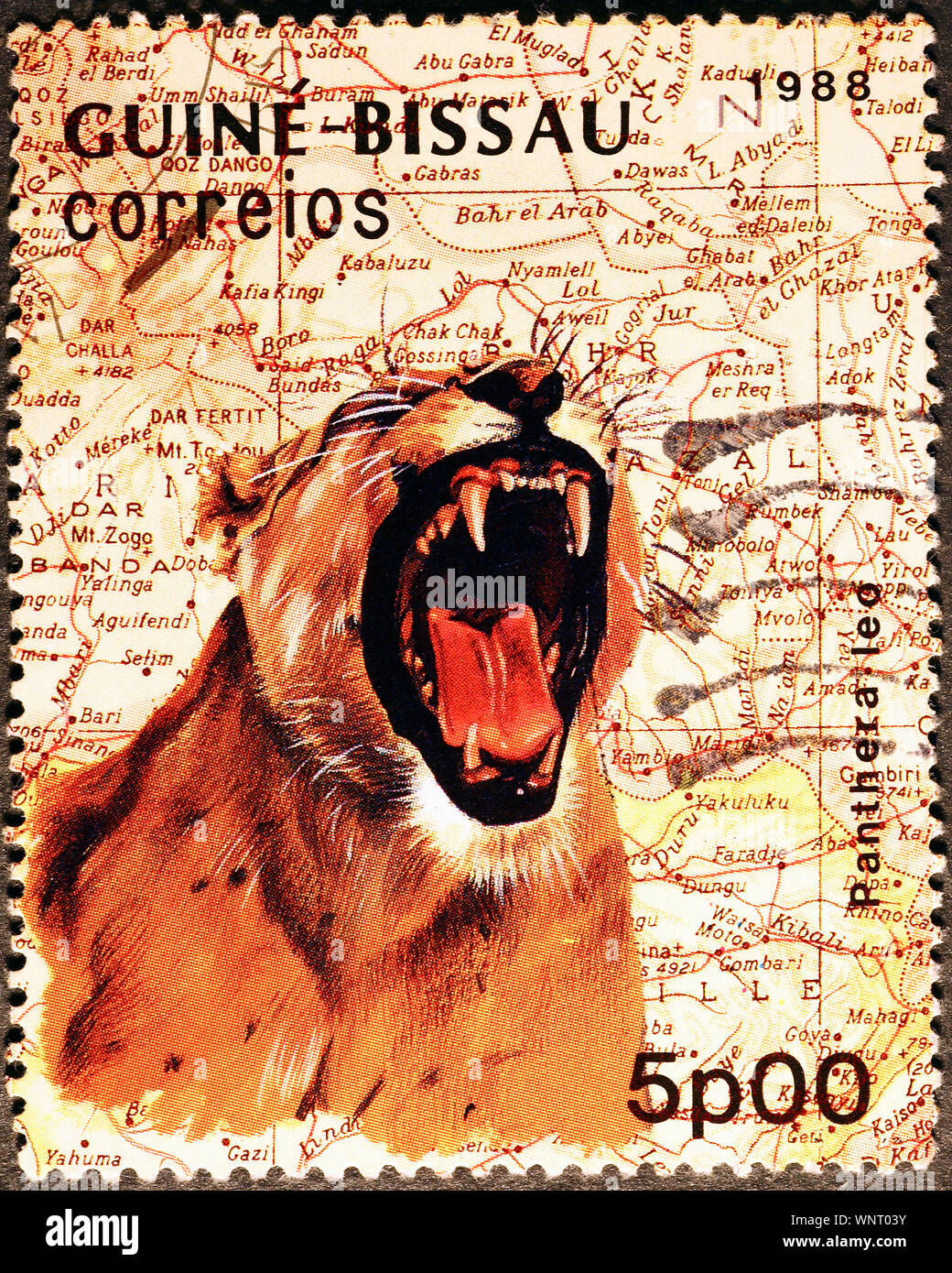 Lionne rugissant sur timbre-poste de la Guinée-Bissau Banque D'Images