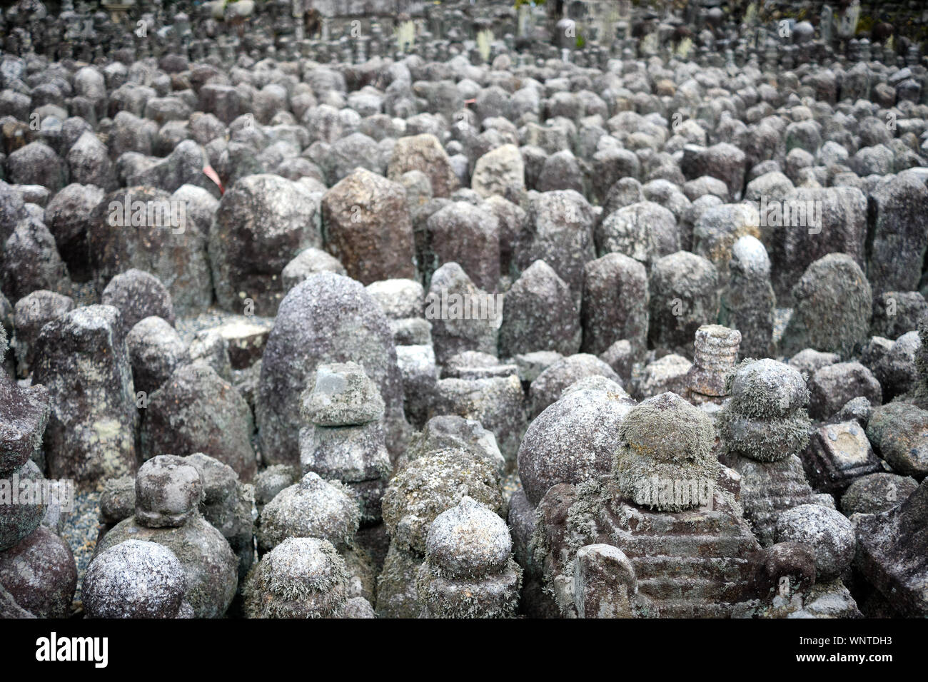 Statues de pierre marquant tombes dans Temple Adashino Nenbutsuji à la périphérie d'Arashiyama, Kyoto, Japon. Banque D'Images