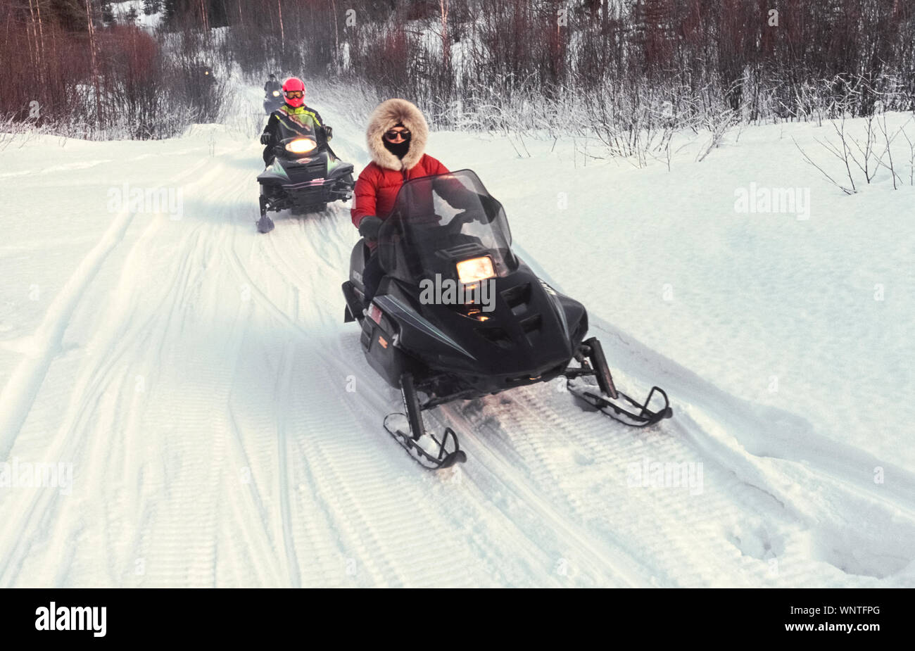 Les motoneigistes profiter d'une sortie d'air frais sur les pistes boisées de Chugach State Park, dans un énorme 495 000 acres (200319 hectares) préserver la nature non loin de la ville d'ancrage dans le centre sud de la partie de l'Alaska, USA. Il est l'un des nombreux endroits dans l'état où l'écrémage à travers la neige sur snowmachines est une activité d'hiver Alaska préférés. Banque D'Images