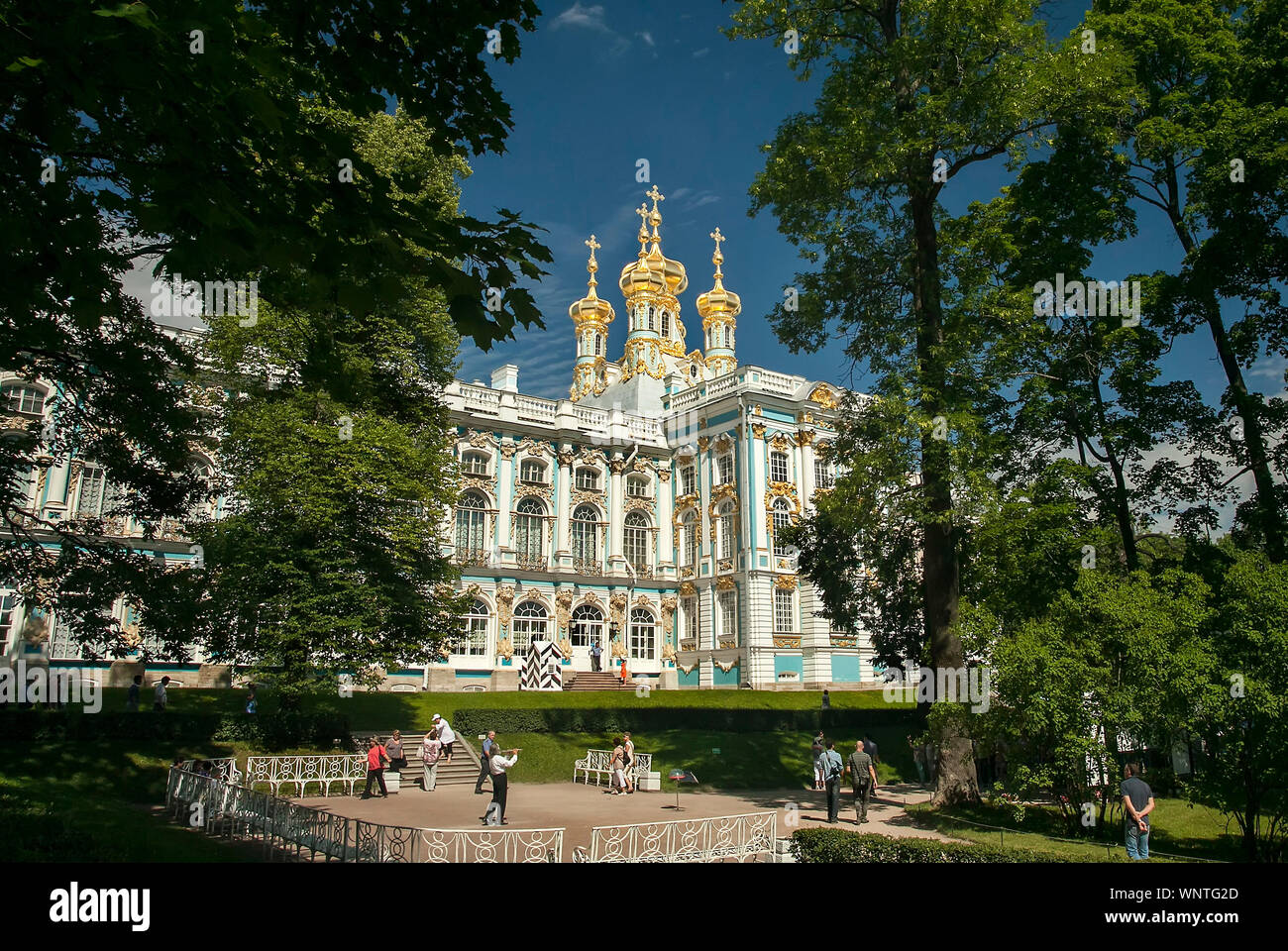 Palais Catherine Saint-Pétersbourg, Russie Banque D'Images