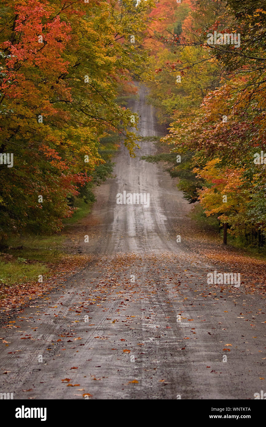 Routes de campagne dur passé coloré sans fin au cours de l'automne les feuilles d'automne du temps dans la Nouvelle Angleterre. Les feuilles changent de couleur la trame des chemins de terre ; leaf peeping Banque D'Images