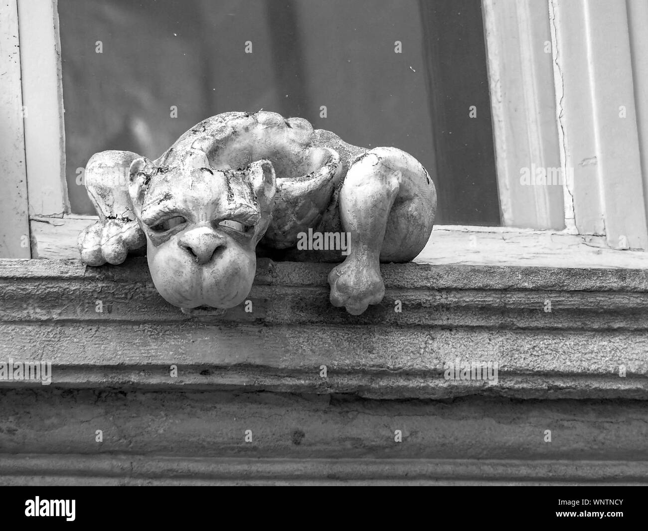Sculpture de gargouille de chat comme animal assis sur le rebord de fenêtre. Banque D'Images