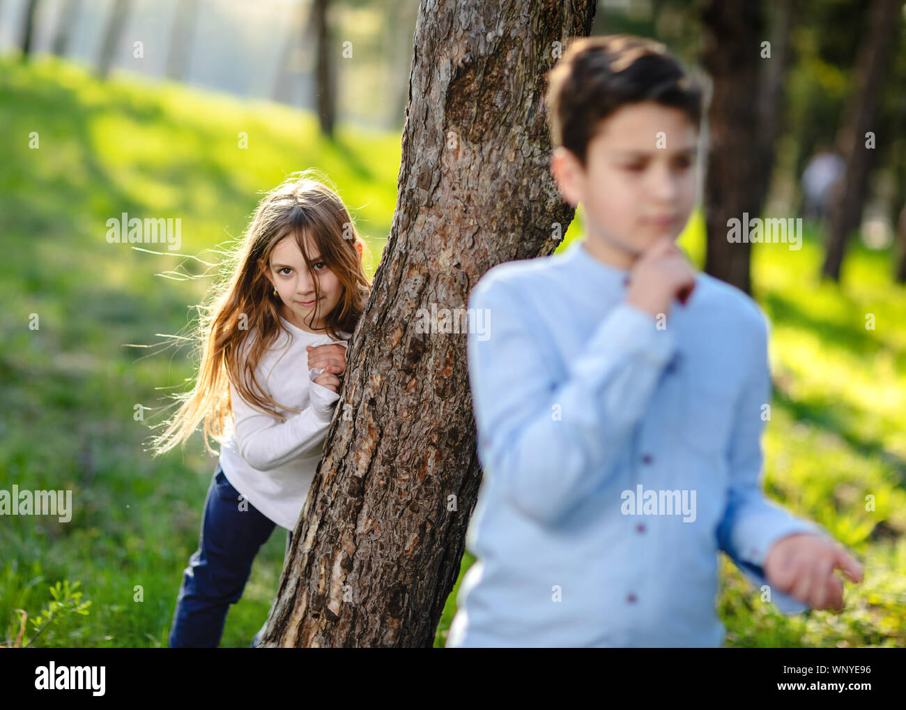 Garçon et fille joue à cache-cache dans le parc. Girl sur petit ami. Fille de se cacher derrière l'arbre et traîner sur garçon. Banque D'Images