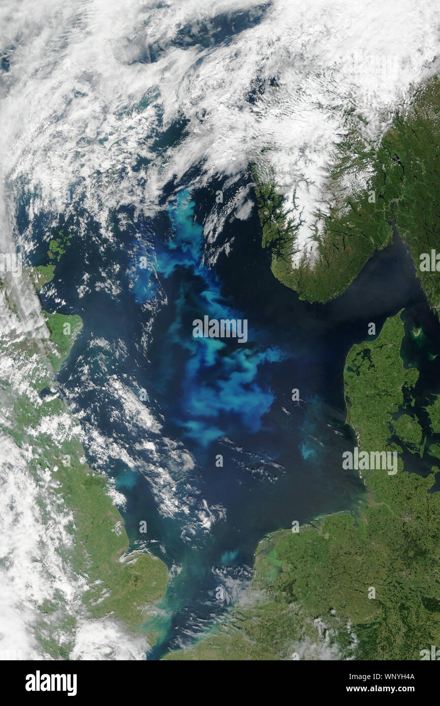 Mer du Nord avec les proliférations de phytoplancton, le Danemark, la Norvège, l'Allemagne, le 6 juin 2015, par la NASA/Jesse Allen/DPA Banque D'Images