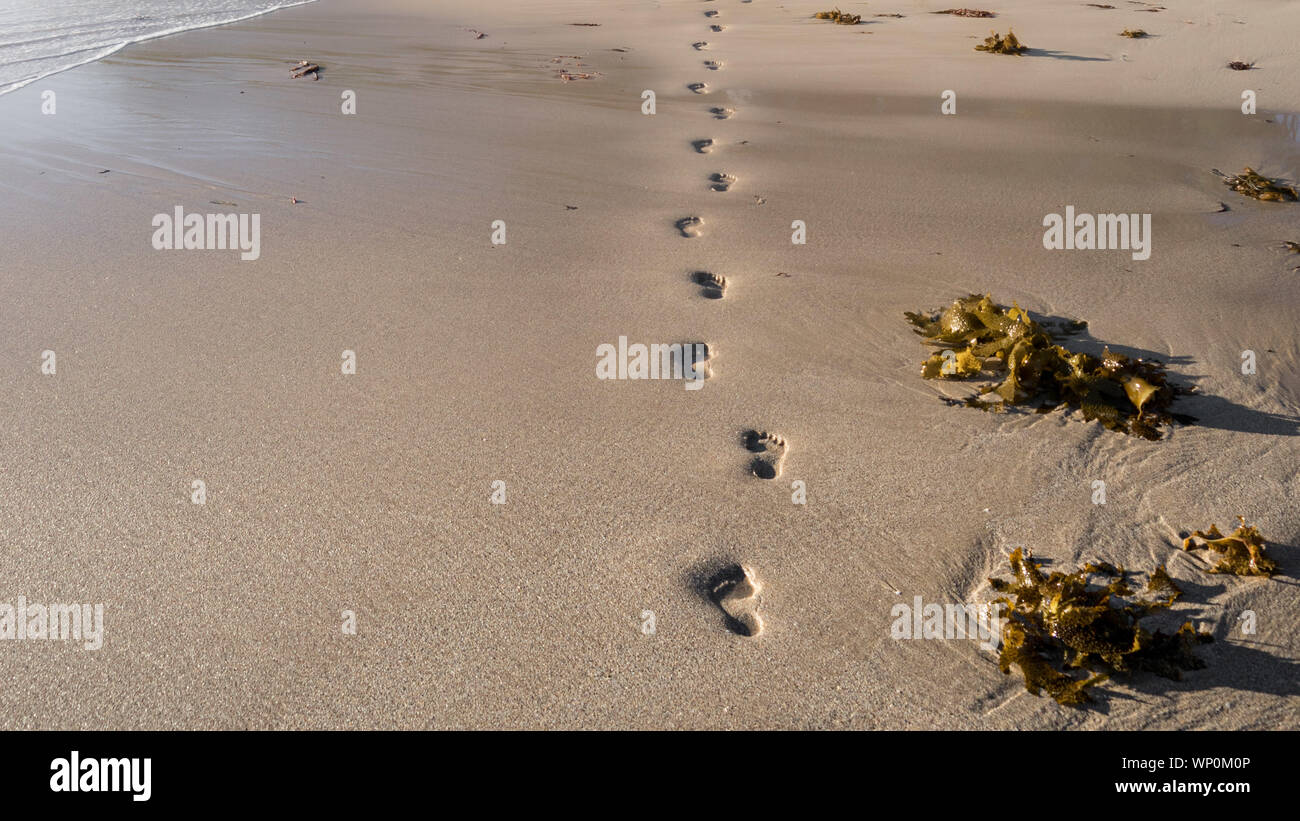 Pied étapes dans le sable humide sur la plage Banque D'Images