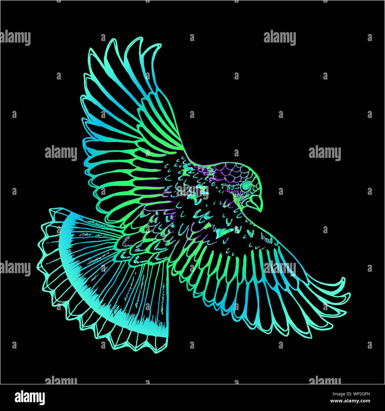 Dessin Couleur Du Degrade De L Aigle Oiseau En Vol Image Vectorielle Stock Alamy